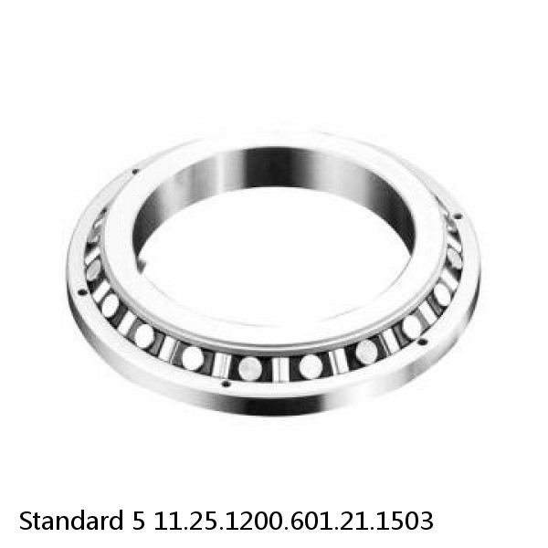 11.25.1200.601.21.1503 Standard 5 Slewing Ring Bearings