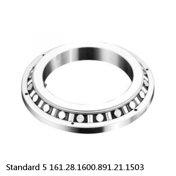 161.28.1600.891.21.1503 Standard 5 Slewing Ring Bearings