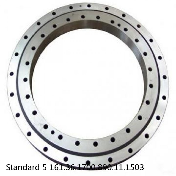 161.36.1700.890.11.1503 Standard 5 Slewing Ring Bearings