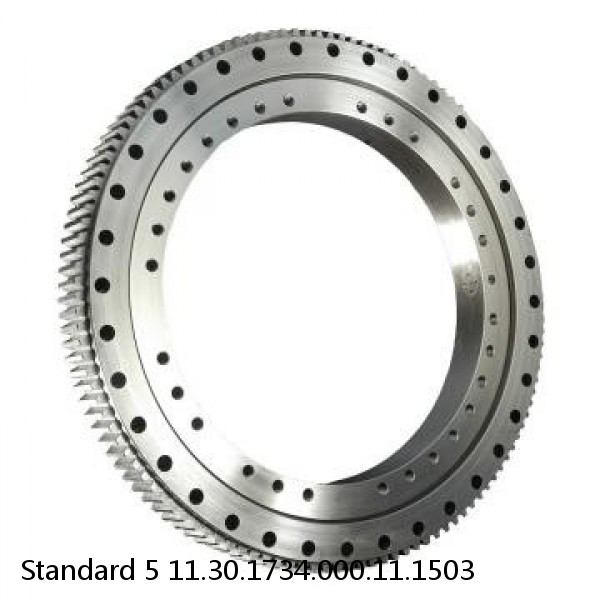 11.30.1734.000.11.1503 Standard 5 Slewing Ring Bearings