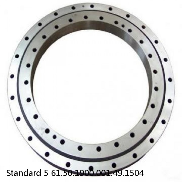 61.50.1900.001.49.1504 Standard 5 Slewing Ring Bearings