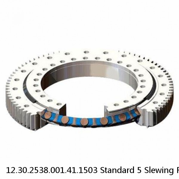 12.30.2538.001.41.1503 Standard 5 Slewing Ring Bearings