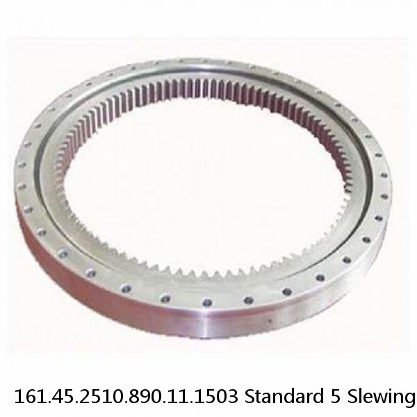 161.45.2510.890.11.1503 Standard 5 Slewing Ring Bearings