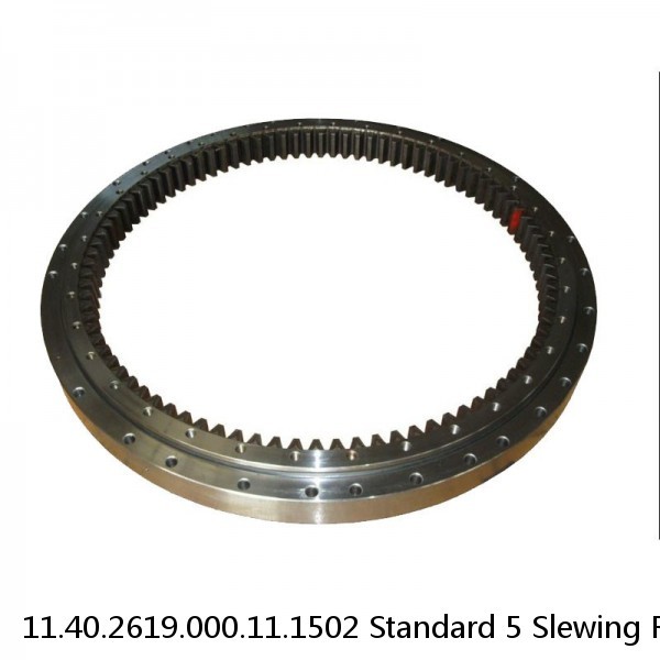 11.40.2619.000.11.1502 Standard 5 Slewing Ring Bearings