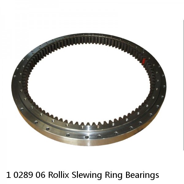 1 0289 06 Rollix Slewing Ring Bearings