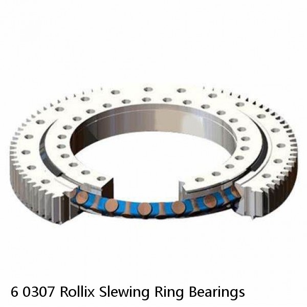 6 0307 Rollix Slewing Ring Bearings