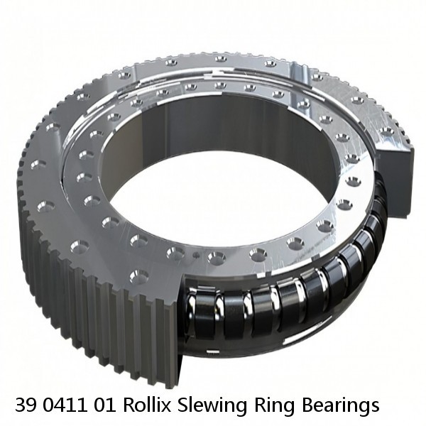 39 0411 01 Rollix Slewing Ring Bearings