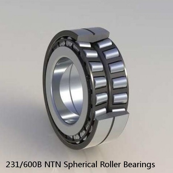 231/600B NTN Spherical Roller Bearings