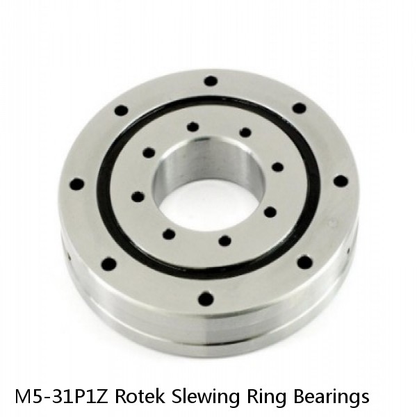 M5-31P1Z Rotek Slewing Ring Bearings