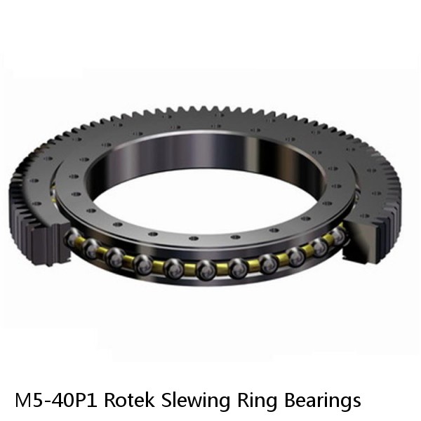 M5-40P1 Rotek Slewing Ring Bearings