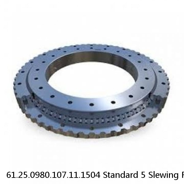 61.25.0980.107.11.1504 Standard 5 Slewing Ring Bearings