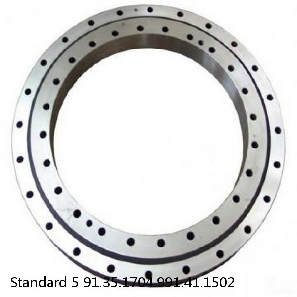 91.35.1704.991.41.1502 Standard 5 Slewing Ring Bearings