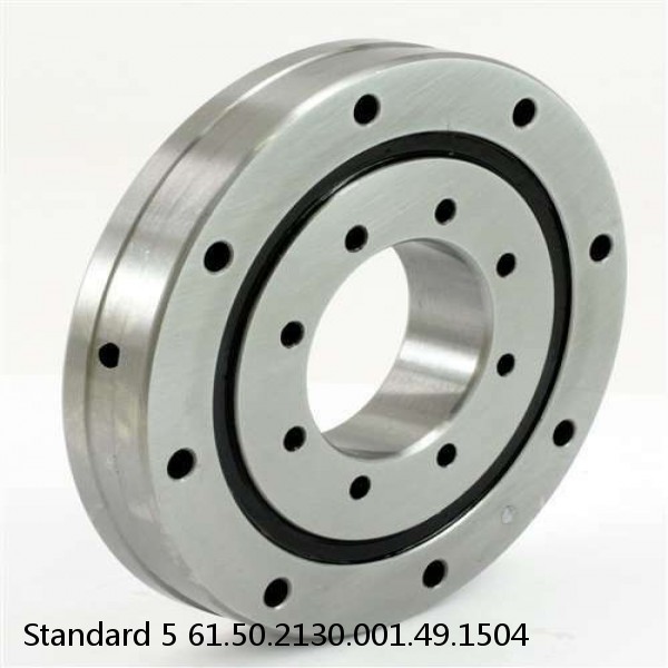 61.50.2130.001.49.1504 Standard 5 Slewing Ring Bearings