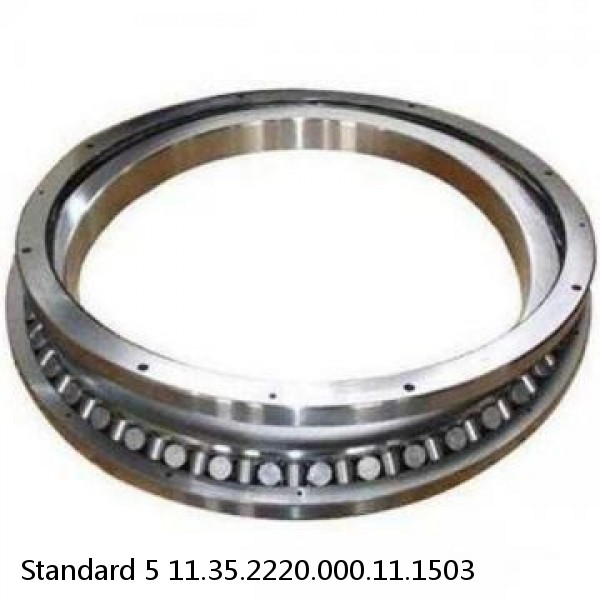 11.35.2220.000.11.1503 Standard 5 Slewing Ring Bearings