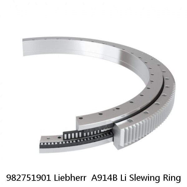 982751901 Liebherr  A914B Li Slewing Ring