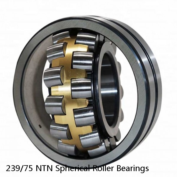 239/75 NTN Spherical Roller Bearings